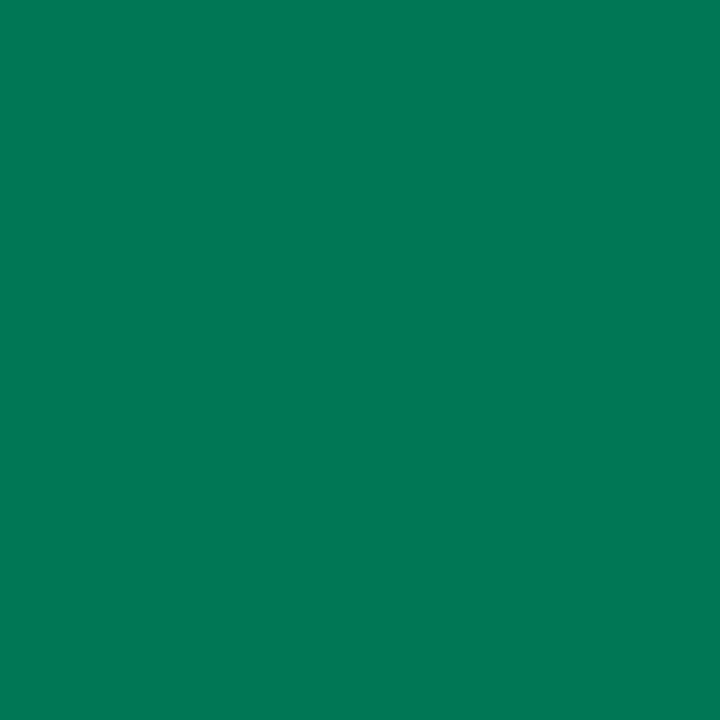 AEROSOL 344 MATTE TRITON