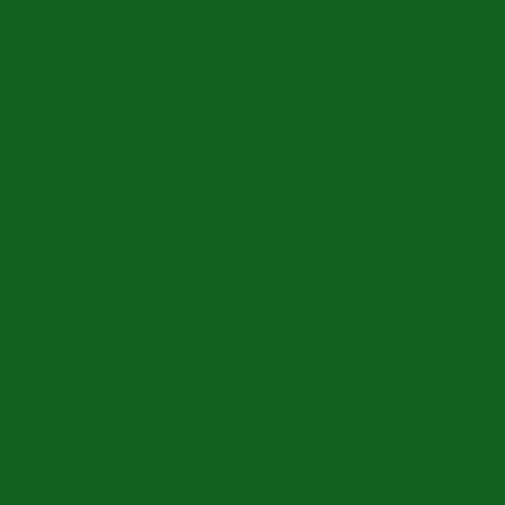 AEROSOL 361 MATTE DRAGON
