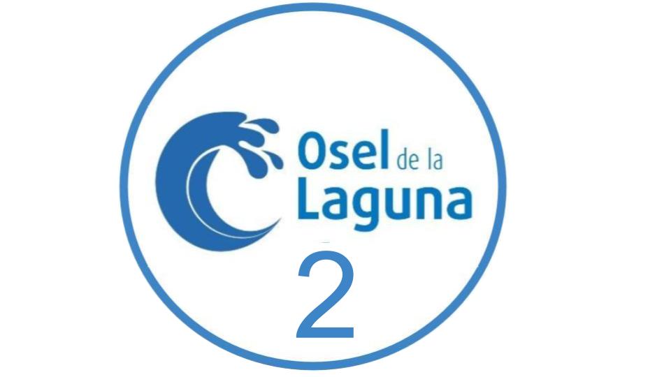 MÓDULO 3 - Selladores, adhesivos y anclajes químicos